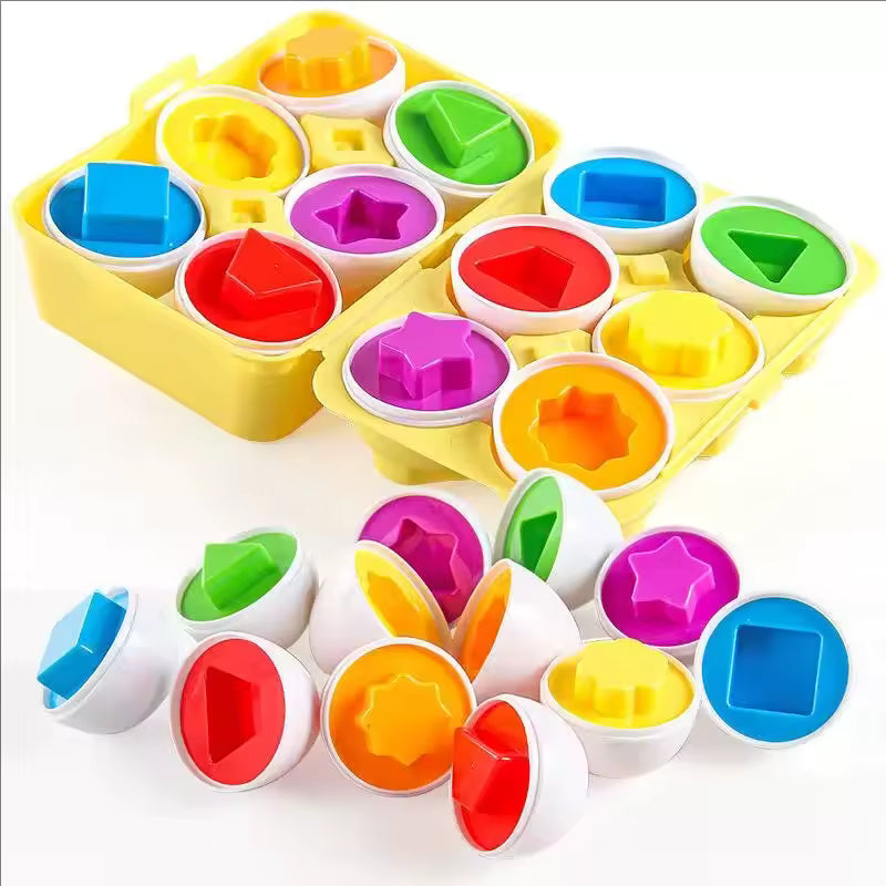 Montessori Matching Eggs Toy