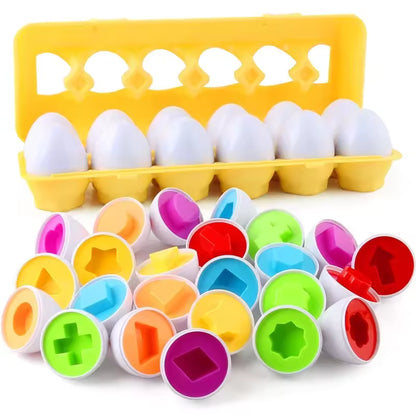 Montessori Matching Eggs Toy