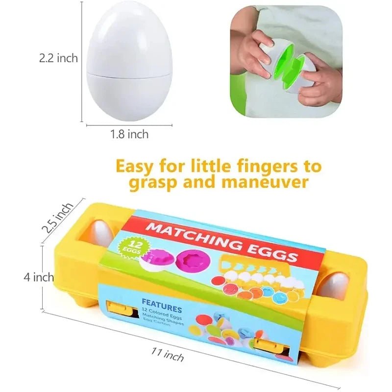 Montessori Matching Eggs Toy - Toylio