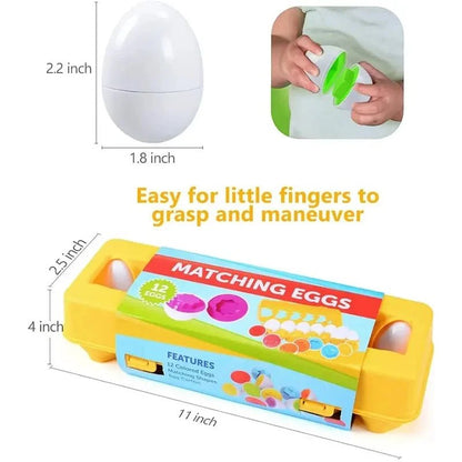 Montessori Matching Eggs Toy - Toylio
